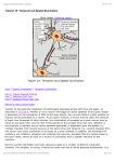 Tutorial 10: Temporal and Spatial Summation Figure 10: Temporal