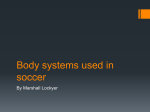 Body systems used in soccer