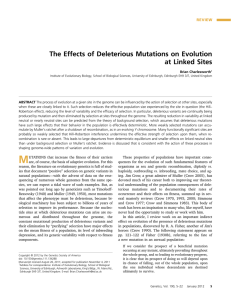 The Effects of Deleterious Mutations on Evolution at