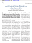 Myocardial stress and hypertrophy - Journal of Clinical Investigation