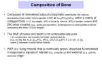 Composition of Bone