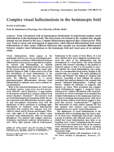 Complex visual hallucinations in the hemianopic field