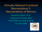 Clinically Relevant Functional Neuroanatomy