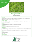 Sphagnum Moss - Sierra Club BC