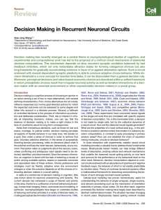 Decision Making in Recurrent Neuronal Circuits