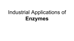 Industrial Applications of Enzymes
