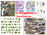 The Six Kingdoms of Classification