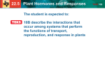 22.5 Plant Hormones and Responses TEKS 10B