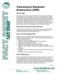 Vancomycin Resistant Enterococci (VRE)