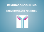 Immunoglobulins structure and function