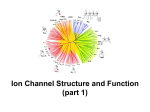 Ion Channel Structure and Function (part 1)