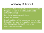 Anatomy of Kickball Mini Project Information
