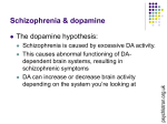 Schizophrenia: the dopamine hypothesis