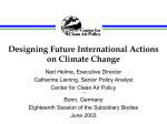 Designing Future International Actions on Climate Change