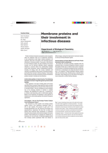 Membrane proteins and their involvment in infectious diseases