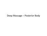 Deep Massage – Posterior Body