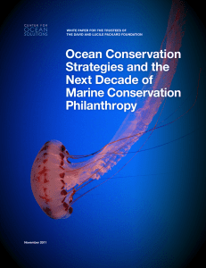 Ocean Conservation Strategies and the Next Decade of Marine