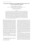 Isoform-Specific Mutations in the Caenorhabditis elegans