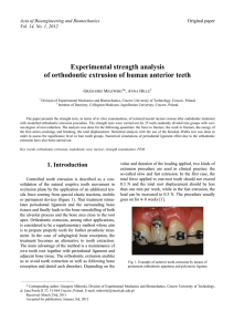 Experimental strength analysis of orthodontic extrusion of human