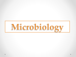 Microbiology Food Contact Surface Cleaning Food contact surface