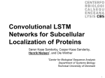 Convolutional LSTM Networks for Subcellular Localization of Proteins