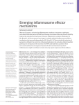 Emerging inflammasome effector mechanisms