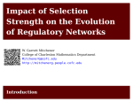 Impact of Selection Strength on the Evolution