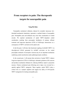 From receptors to pain: The therapeutic targets for neuropathic pain