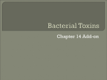 Bacterial Toxins