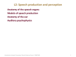L2: Speech production and perception