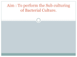 Aim : To perform the Sub culturing of Bacterial