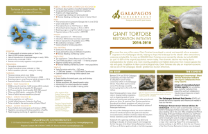 GIANT TORTOISE - Galapagos Conservancy