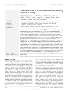 A new nodavirus is associated with covert mortality disease of shrimp