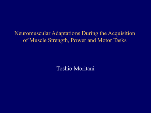 Neuromuscular Adaptations During the Acquisition of Muscle