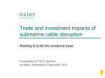 Trade and investment impacts of submarine cable disruption