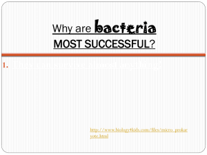 Bacteria - Richard Goodman