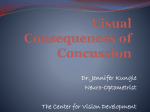 Visual Consequences following a Concussion