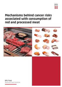 Mechanisms behind cancer risks associated with consumption of
