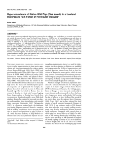 Hyper-abundance of Native Wild Pigs (Sus scrofa) in a Lowland