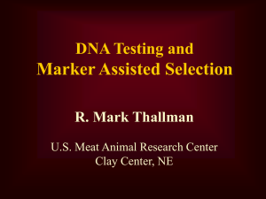 Should I Use DNA Testing? - Beef Improvement Federation