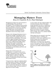 Managing Mature Trees - Bartlett Tree Experts
