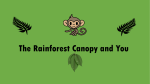 The Rainforest Canopy and You