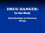 Introduction to Gateway Drugs