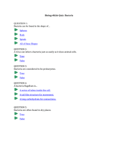 QUESTION 1: Bacteria can be found in the shape of