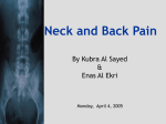 Neck and Back Pain (slide show)