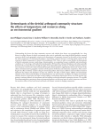 Determinants of the detrital arthropod community structure: the