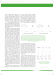 velocity components and the magnetic fields are in the transverse