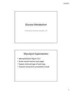 Glucose Metabolism Glycolysis Expectations
