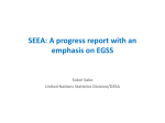 2b. SEEA progress report with an emphasis on EGSS (Sokol