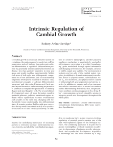 Intrinsic Regulation of Cambial Growth